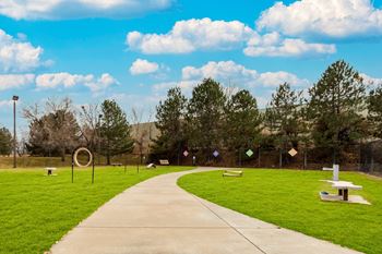 Dog park